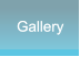 Gallery Gallery