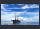 Whales Tale          Fiji