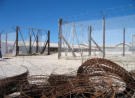 Cell Block D           Robben Island